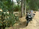 PICT2331.JPG