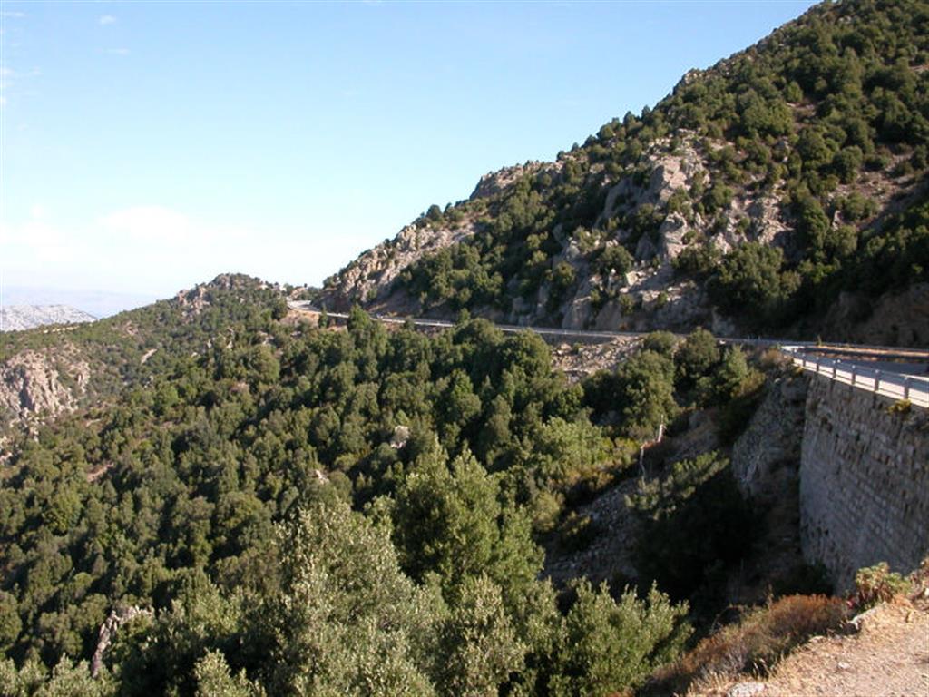 DSCN3217.JPG