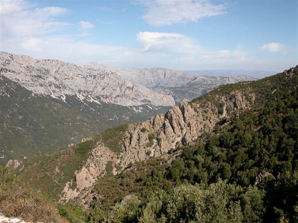 DSCN3218.JPG