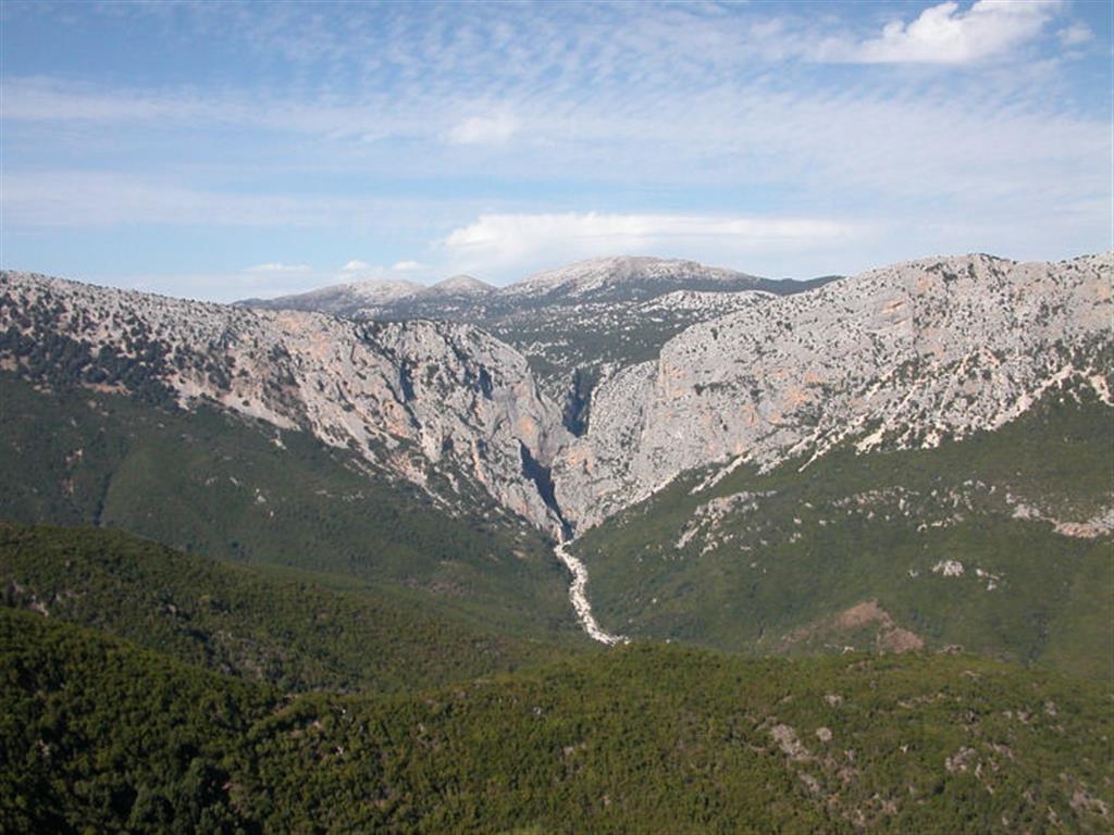DSCN3220.JPG