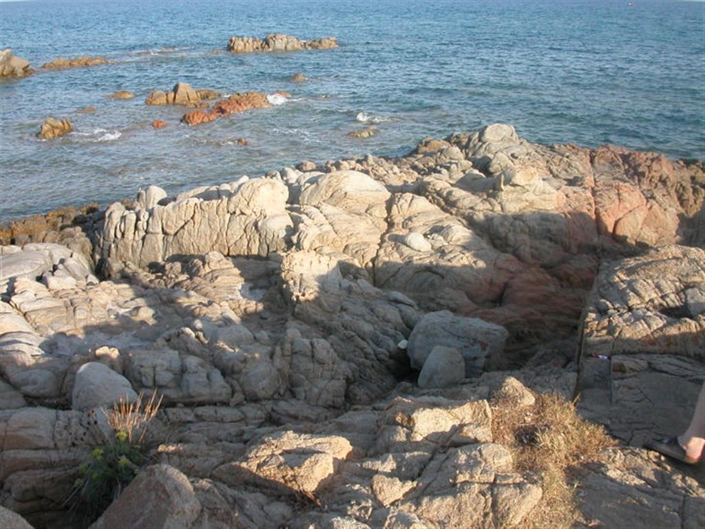 DSCN3228.JPG