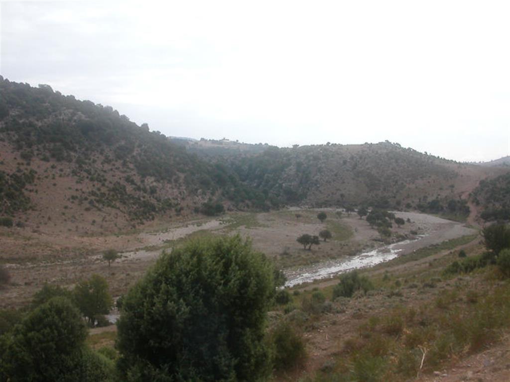 DSCN3290.JPG