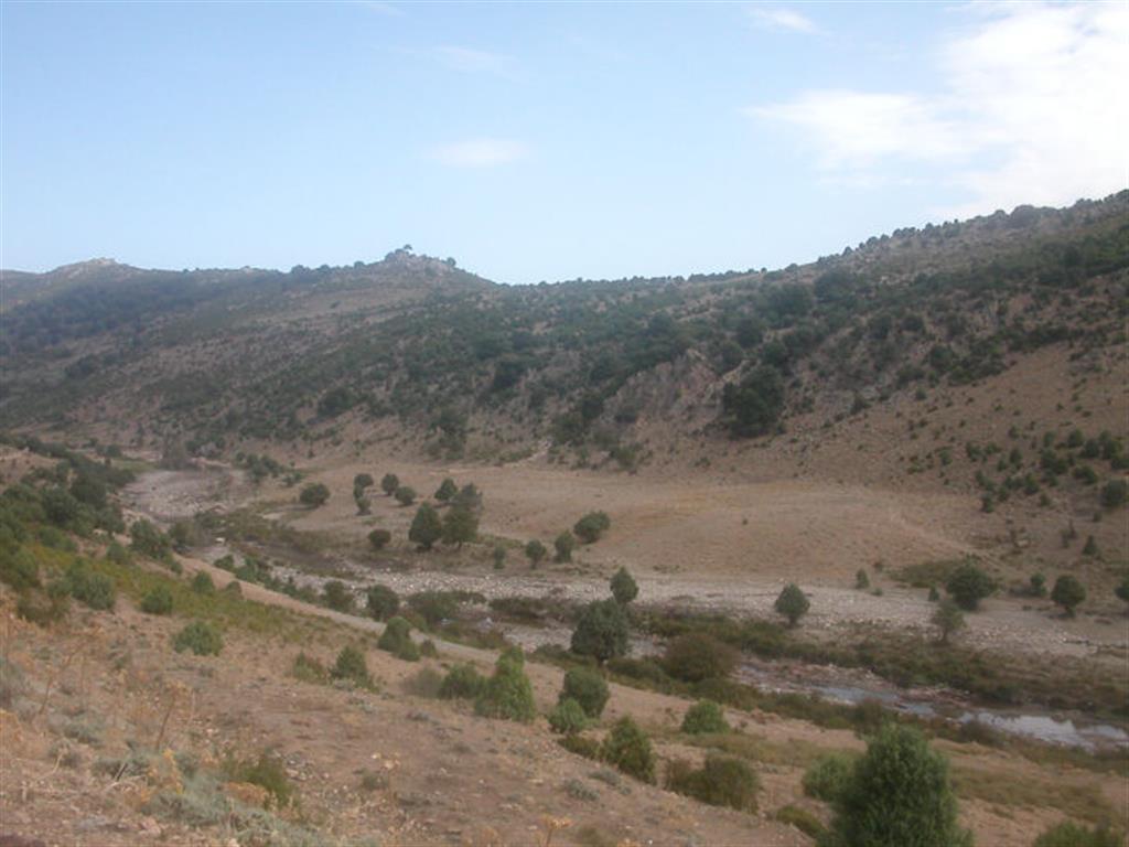 DSCN3291.JPG