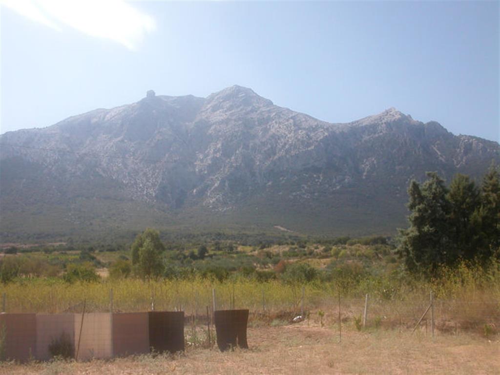 DSCN3294.JPG