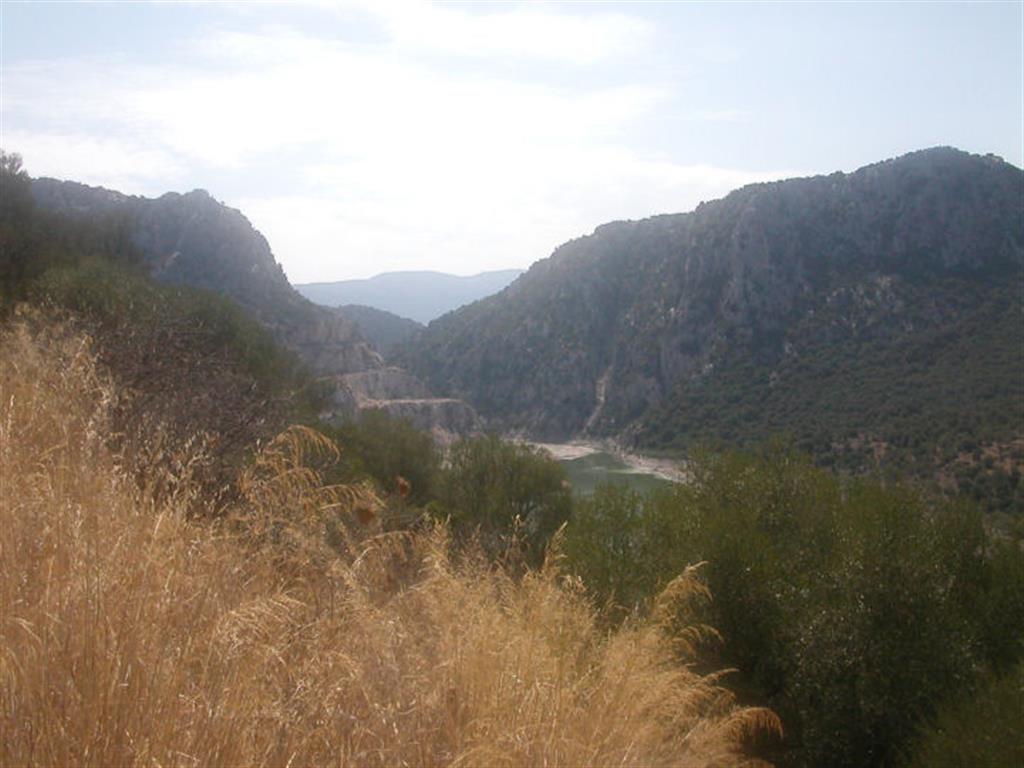 DSCN3296.JPG