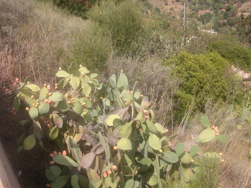 DSCN3312.JPG