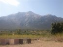 DSCN3294.JPG