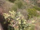 DSCN3312.JPG
