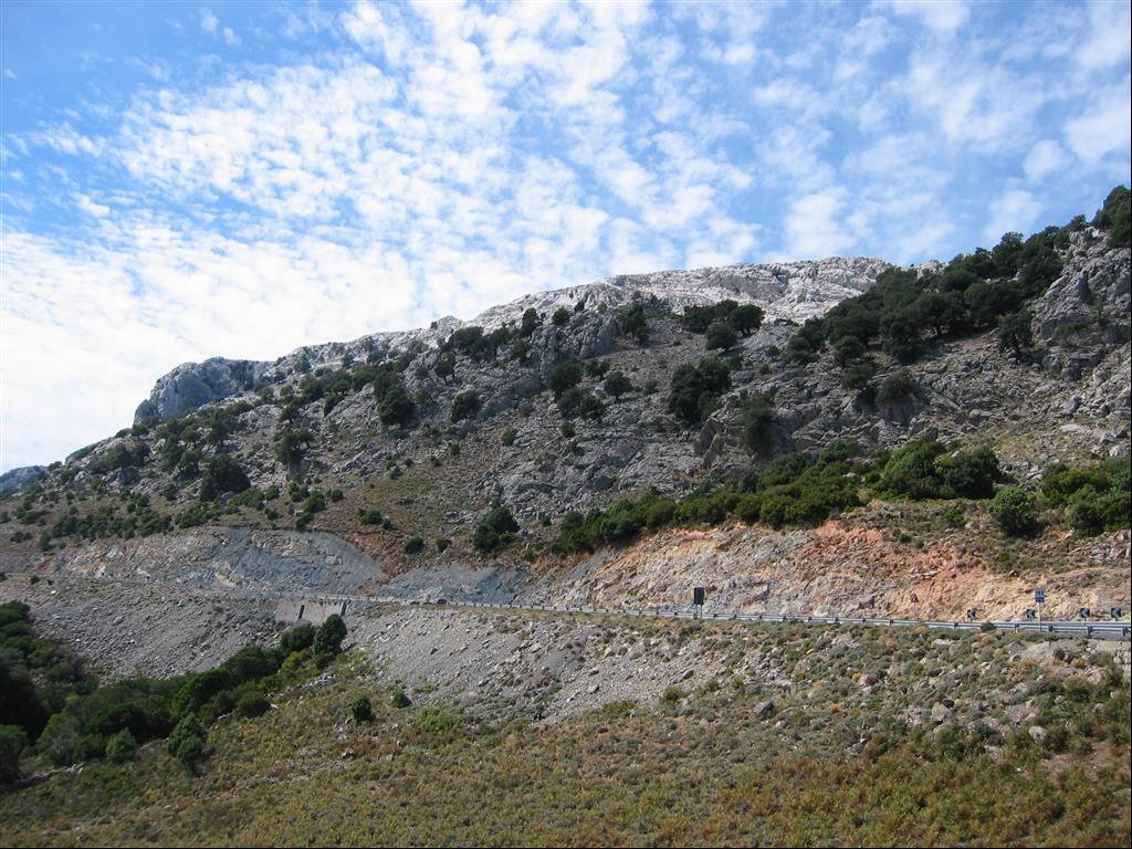 IMG_4285.JPG