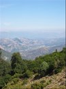 IMG_4288.JPG