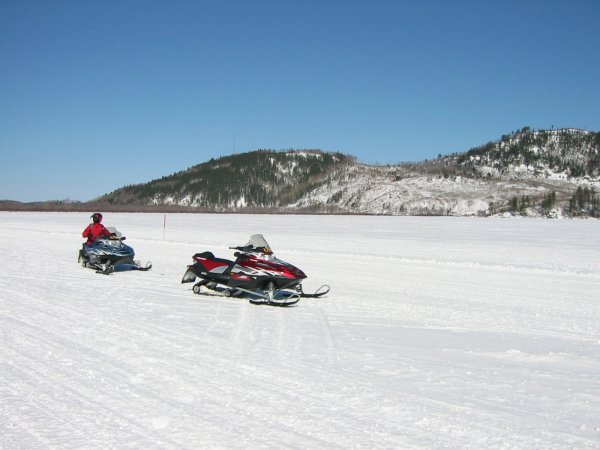 Img_2950.jpg
