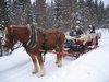 Img_0857.jpg