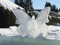 Img_2890.jpg