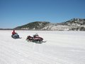 Img_2950.jpg