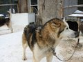 Img_2976.jpg
