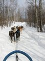 Img_2980.jpg