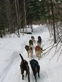 Img_2984.jpg
