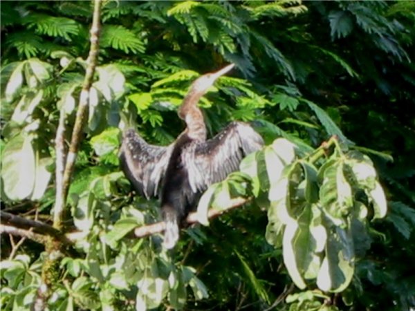 Img_3058.jpg