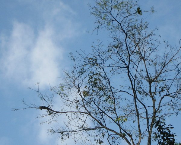Img_3062.jpg