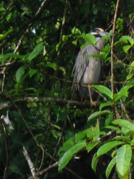 Img_3068.jpg