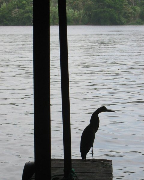 Img_3122.jpg