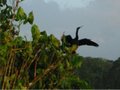 Img_3042.jpg