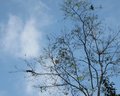 Img_3062.jpg