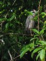 Img_3068.jpg
