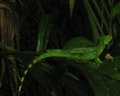Img_3072.jpg
