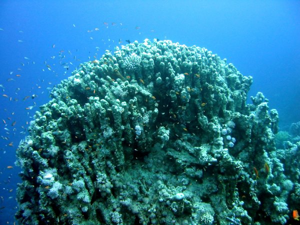 Img_5238.jpg