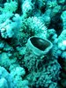 Img_5235.jpg