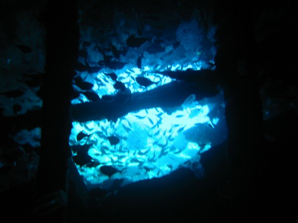 IMG_5345.jpg
