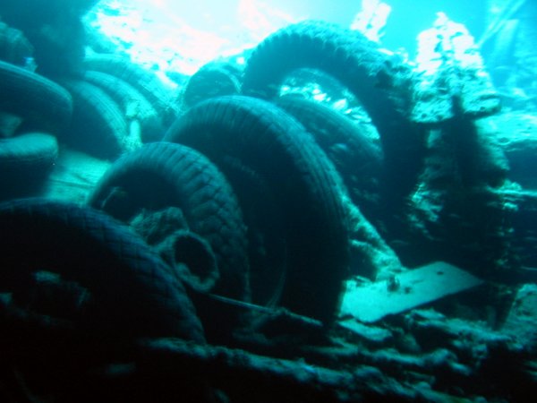 Img_5337.jpg