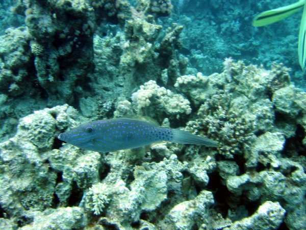 Img_5248.jpg