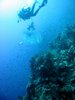 Img_5287.jpg