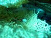 Img_5295.jpg