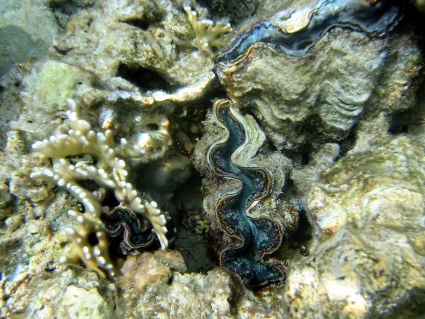 Img_5202.jpg