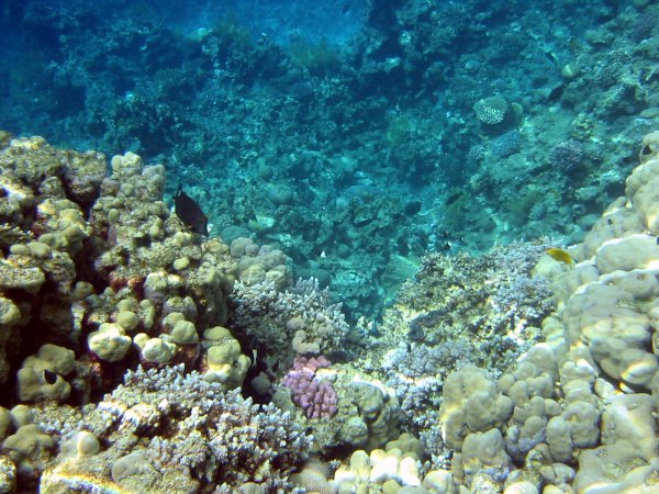Img_5208.jpg