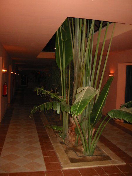 Img_5221.jpg