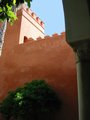 Img_3944red.jpg