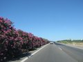 Img_3965red.jpg