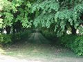 Img_4103red.jpg