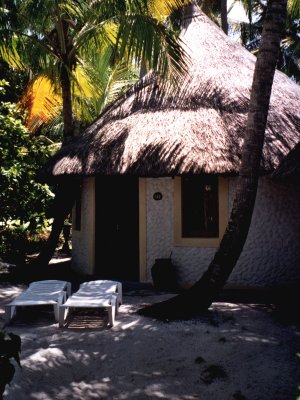 avreef-b.jpg, 39 kB