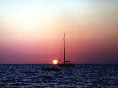 avreef-d.jpg, 19 kB