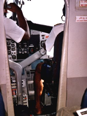 avreef-k.jpg, 27 kB
