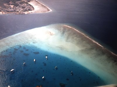 avreef-p.jpg, 19 kB