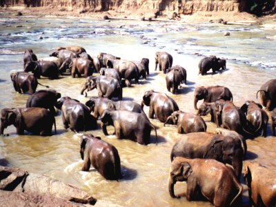 bslanka-g.jpg, 42 kB