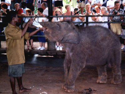 bslanka-h.jpg, 32 kB