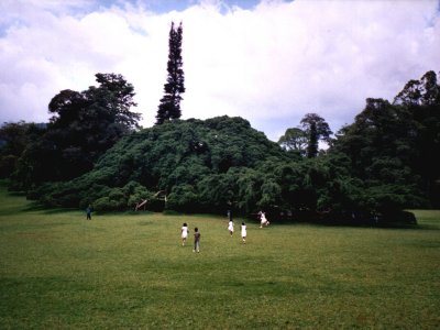 bslanka-i.jpg, 26 kB