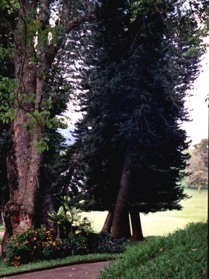 bslanka-k.jpg, 41 kB